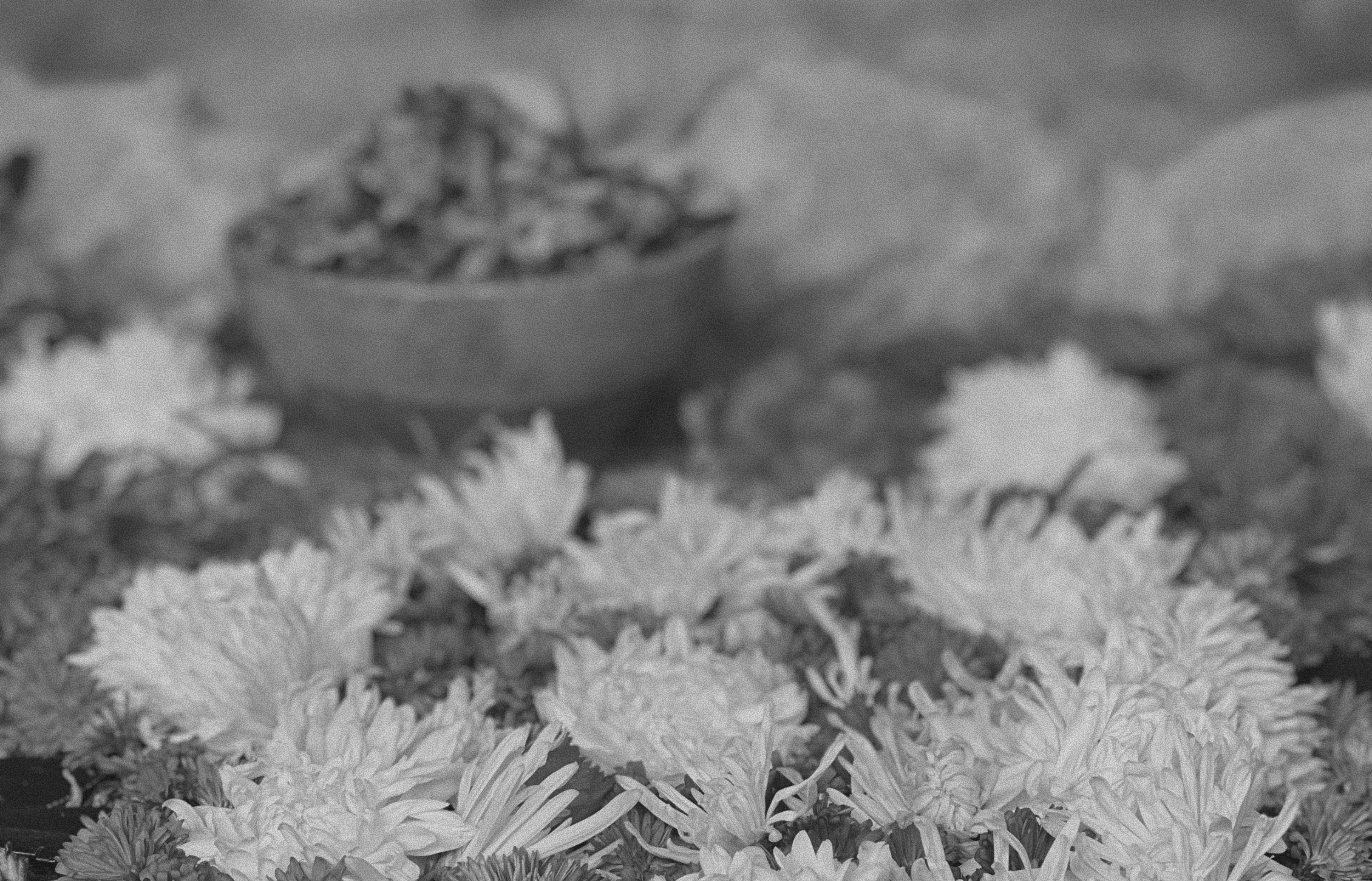 Imperfect history of yoga